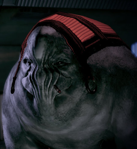 FancyElcor's profile picture. Amused; What's there to know?