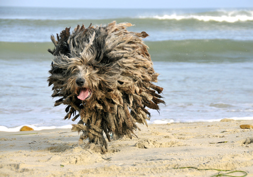 I am a photographer (pho-dographer often) living on Martha's Vineyard. Check out my new Vineyard Seadogs 2020 Calendar  - https://t.co/WaC40q1FlB