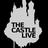 TheCastleLive's profile image