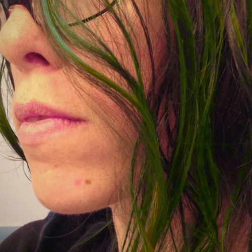 Professional liar, practitioner of narrative & fiber arts. Naturally green hair; non-binary river troll. Will eat problem goats. She/her, honorifics: Mr./sir