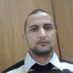 ned441's profile picture. 