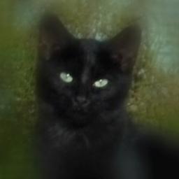 Child of the '60s, Wife, Mother, Daughter, Sister, Great Aunt, eBay seller, writer, blogger,& animal lover: http://t.co/A9JS668NMX http://t.co/L6X1BjH2bC