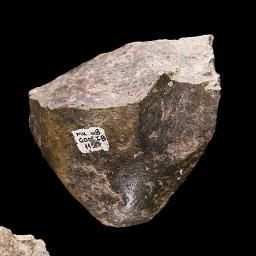 NicolaSambonet's profile picture. 