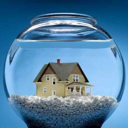 underwater_home's profile picture. Fixer of underwater homes. Resolver of debt. Creator of fresh starts.  Discover hope, all ye who enter here.
