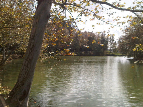 danlevi01's profile picture. 