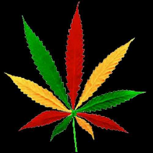 marijuana tweets & thoughts. Smoke weed like there's no tomorrow ✌ d: ~ follow