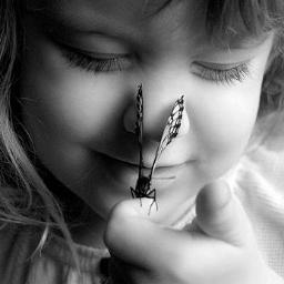 Palavras são perdidas, promessas são esquecidas, papéis e cartas apodrecem, mas o verdadeiro amor é o que permanece...