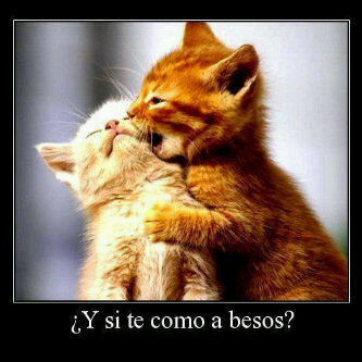 Sigo a todos FOLLOW BACK ;)