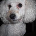 ELI fernandez - @eli12_ - Twitter