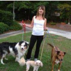 Customer Service Director, GSA's Federal Acquisition Service, Dog Lover/Walker, Yoga Enthusiast, Antiques Dealer, Avid Reader