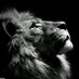 mohanad AL-own (@mohown) Twitter profile photo