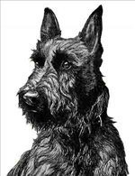 TVHSGuidance's profile picture. Deadlines, College Info, Scholarships, Testing, FAFSA, and all TVHS announcements you need!