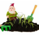 Liam Thornton - @thorntonsgarden - Twitter