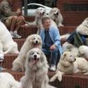 Ray Beattie - @raybeattie - Twitter