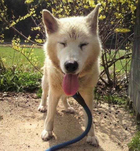 neko_morgan's profile picture. 用事があればリプ飛ばしてくれれば多分気づきます
元FUACT衣裳メイクスタッフ 芝居はするのも観るのも好き　いろんな人と芝居したい