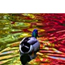 Rita Ashley - @rashleyphotog - Twitter