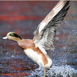 AgEng08's profile picture. 