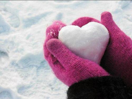 توته علي  Profile