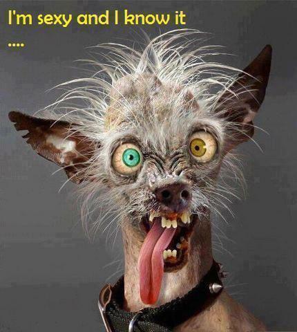 Monique_zw's profile picture. 