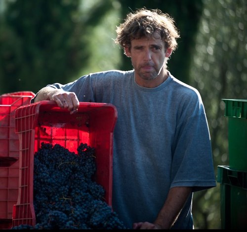 freelance winemaker/viticulturist/consultant based in Tuscany... future projects to relesed soon!!! IL GUERCIO IS BEING PREPARED....