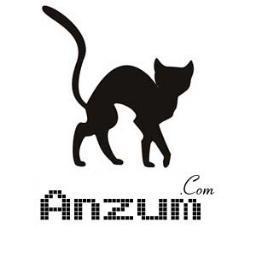 @anzumdigital