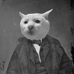 Atlantic Cat is making you crazy