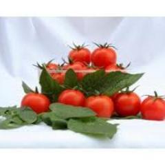 Tomates Cherry, transforma tus comidas en algo extraordinario con un producto fresco y de primera calidad. Deleita tu paladar::::