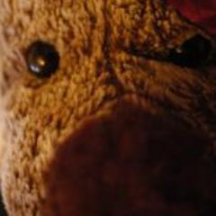 hebberly's profile picture. I am a plush moose, an actor, a dancer, and an activist for plush animal rights. I have appeared in several short films an am always available for casting!