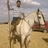 gbragado's profile image