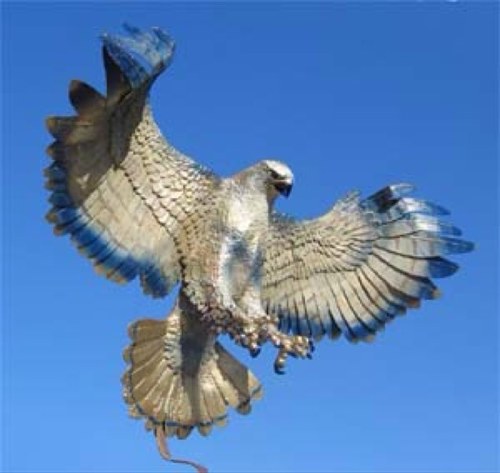 Badar12254's profile picture. 