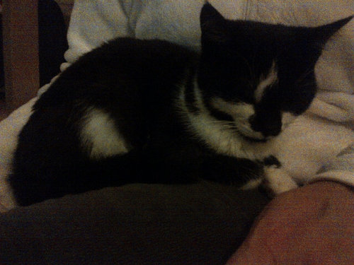 JanetHillier's profile picture. love my family, Kiddy Harriers, Tennis, Florida, Orlando Magic & Ryland Netball Club