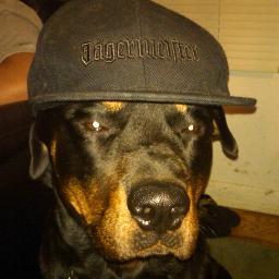 apeacemaker21's profile picture. 