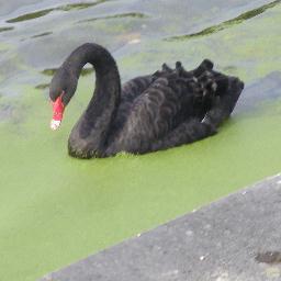 NathJakobczyk's profile picture. Parfois, je rêve que tout va pour le mieux dans le meilleur des mondes, ...