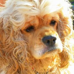 tinabellocco's profile picture. 