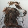 penroo's profile picture. Fine Art Animal Portraits and Commissions
