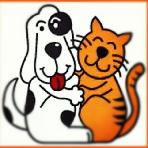 Uprodea_informa Profile Picture