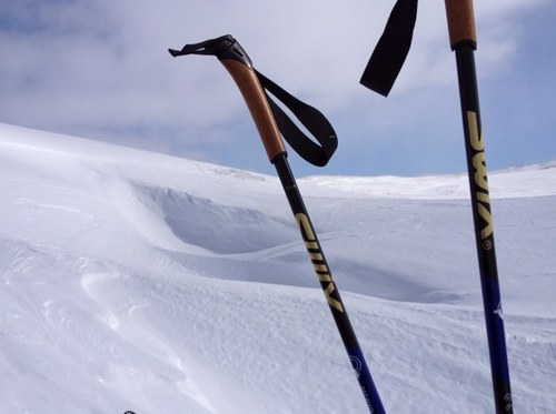 s_eide's profile picture. 