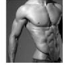 corereaction's profile picture. 