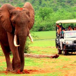 AfricaTMW's profile picture. Travel Marketing Worldwide is a group of travel consultants that represent a collection of boutique properties & DMCs, connecting them with the US travel trade.