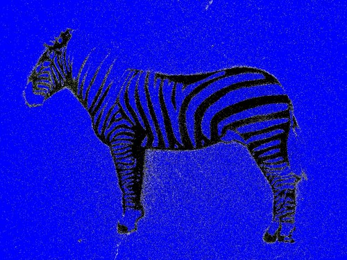 Игнеко Иван 
Мы не будем (on ne changera pas les rayures du zebre) изменять полосы (царапины) зебры