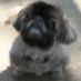 Scott Verity (@scottverity) Twitter profile photo Scott Verity (@scottverity) Twitter profile photo