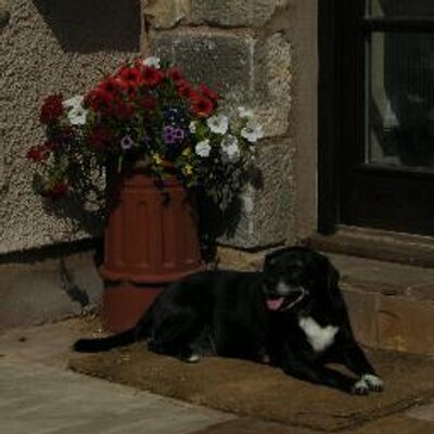 nickatherton1's profile image