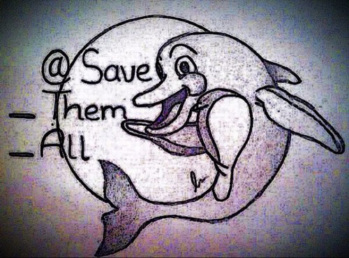 Save_Them_All's profile picture. 20 years old with an ambition to stop captivity #Blackfish could be the end to #seaworld do you agree? Thank you everyone who doesnt support captivity! #thecove