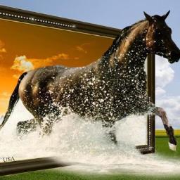 usama_11185's profile picture. 