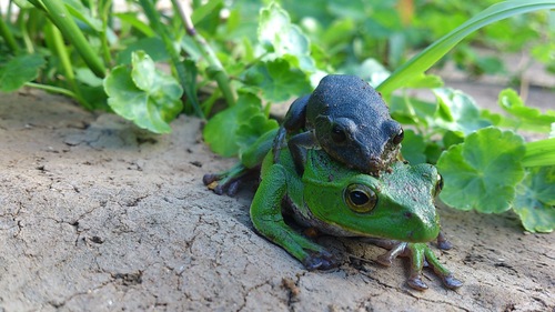 mutuki_sosichi's profile picture. 