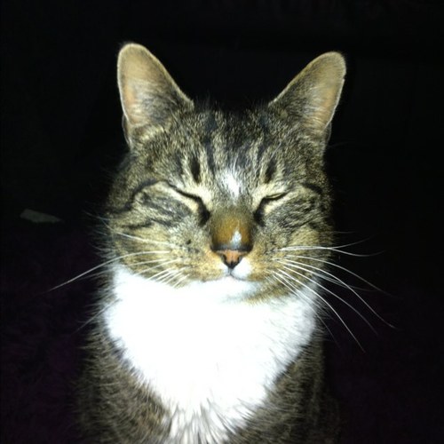 bev_manson's profile picture. 