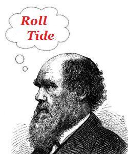 EvolveUA's profile picture. Evolutionary Studies Club at the University of Alabama. Follow us for club updates/events. We put the 'win' in 'Darwin'. Roll Tide!