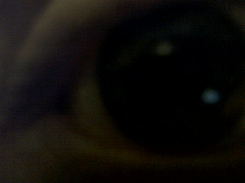 Taki_'s profile picture. Apathetic, anglophile, misanthrope, atheist.