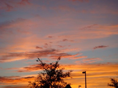 gororuri's profile picture. 