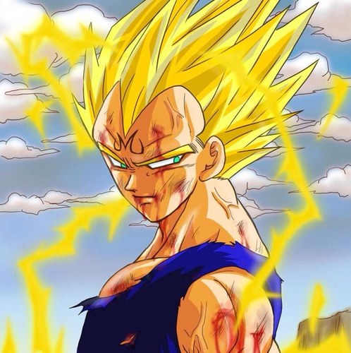 Names Vegeta im the prince of all saiyans my women is Bulma my kids are Trunks and Bulla #RP #DBZ #Forever loves @SeleNerd_